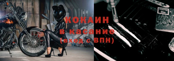 spice Дмитриев