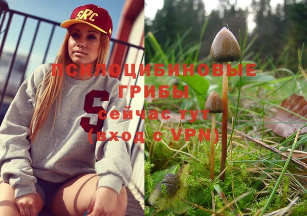МДМА Елабуга