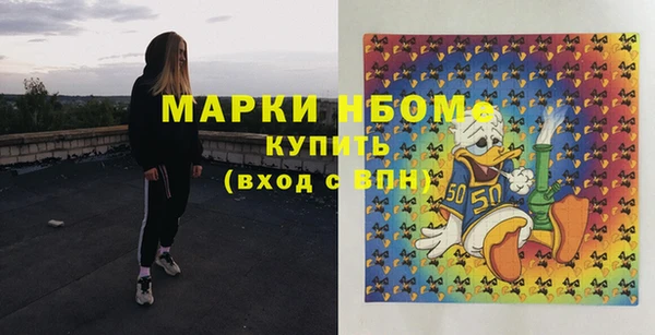 spice Дмитриев