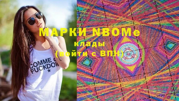 spice Дмитриев
